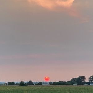 Meet your Posher, Mason